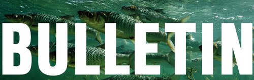 Snímek obrazovky 2025-11-20 112400.png